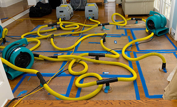 Professional Crawl Space Water Removal technician working in Ladonia, TX